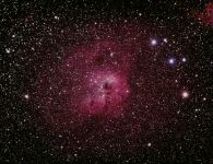 2012-11 Der Kaulquappennebel