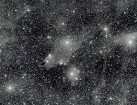 2021-03 Haifischnebel