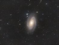 M81 Bodes Galaxie