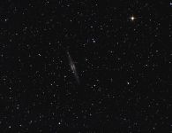 NGC 891