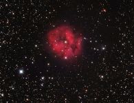 IC 5146 ''Kokonnebel''