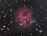 IC 5146 ''Cocoon Nebel'' (zweiter Versuch)