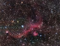 Seagull Nebula - IC 2177