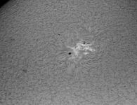 Sonnenfleck von 2020-11-08 im H-Alpha - Licht